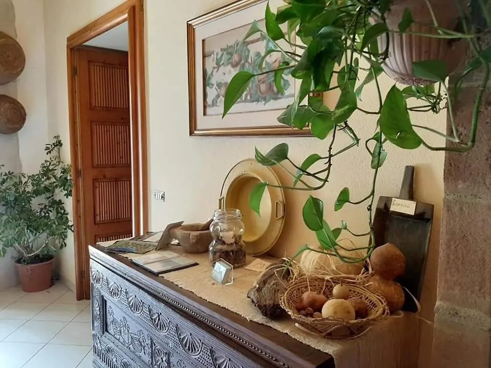 B&B Domus Deiana Mamoiada